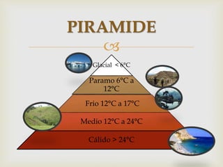 
Glacial < 6°C
Paramo 6°C a
12°C
Frio 12°C a 17°C
Medio 12°C a 24°C
Cálido > 24°C
PIRAMIDE