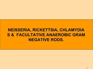 NEISSERIA, RICKETTSIA, CHLAMYDIA
S & FACULTATIVE ANAEROBIC GRAM
NEGATIVE RODS.

1

 