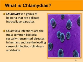 Chlamydia In Humans neisseria, rickettsia, chlamydias | PPTX