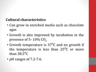 Cultural characteristics
• Can grow in enriched media such as chocolate
agar.
• Growth is also improved by incubation in the
presence of 5- 10% CO2
• Growth temperature is 37⁰C and no growth if
the temperature is less than 25⁰C or more
than 38.5⁰C
• pH ranges of 7.2-7.6.
 