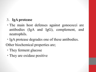 3. IgA protease
• The main host defenses against gonococci are
antibodies (IgA and IgG), complement, and
neutrophils.
• IgA protease degrades one of these antibodies.
Other biochemical properties are;
• They ferment glucose
• They are oxidase positive
 