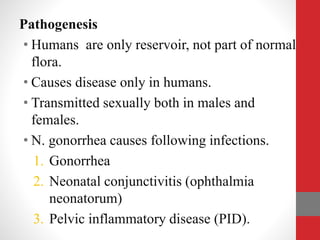 Pathogenesis
• Humans are only reservoir, not part of normal
flora.
• Causes disease only in humans.
• Transmitted sexually both in males and
females.
• N. gonorrhea causes following infections.
1. Gonorrhea
2. Neonatal conjunctivitis (ophthalmia
neonatorum)
3. Pelvic inflammatory disease (PID).
 