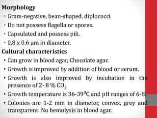 Morphology
• Gram-negative, bean-shaped, diplococci
• Do not possess flagella or spores.
• Capsulated and possess pili.
• 0.8 x 0.6 µm in diameter.
Cultural characteristics
• Can grow in blood agar, Chocolate agar.
• Growth is improved by addition of blood or serum.
• Growth is also improved by incubation in the
presence of 2- 8 % CO2
• Growth temperature is 36-39⁰C and pH ranges of 6-8.
• Colonies are 1-2 mm in diameter, convex, grey and
transparent. No hemolysis in blood agar.
 