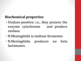 Biochemical properties
• Oxidase-positive; i.e., they possess the
enzyme cytochrome and produce
oxidase.
• N.Meningitidis is maltose fermenter.
• N.Meningitidis produces no beta
lactamases.
 