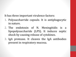 It has three important virulence factors:
1. Polysaccharride capsule. It is antiphagocytic
in nature.
2. The endotoxin of N. Meningitidis is a
lipopolysaccharide (LPS). It induces septic
shock by causing release of cytokines.
3. IgA protease. It cleaves the IgA antibodies
present in respiratory mucosa.
 