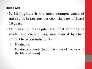 Diseases
• N. Meningitidis is the most common cause of
meningitis in persons between the ages of 2 and
18 years.
• Outbreaks of meningitis are most common in
winter and early spring, and favored by close
contact between individuals.
1. Meningitis
2. Meningococcemia (multiplication of bacteria in
the blood stream)
 