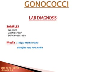 SAMPLES
- Eye swab
- Urethral swab
- Endocervical swab
Media : Thayer Martin media
Modified new York media
LAB DIAGNOSIS
STEP TO PG-MD/MS
-DR.AKIF A.B
 