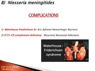 1) Waterhouse friedrichson Sx: B/L Adrenal Hemorrhagic Necrosis
2) If C3-C9 complement deficiency : Recurrent Neisserial Infections
COMPLICATIONS
B) Niesseria meningitides
STEP TO PG-MD/MS
-DR.AKIF A.B
 