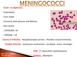 -Gram –ve diplococci
-Capsulated
-Lens shape
-Ferments both glucose and Maltose
-Non motile
- CATALASE+VE
- OXIDASE +VE
Source of infection : Nasopharyngeal carriers : Provides natural immunity
Droplet infection : pulmonary involvement –via blood- enters meninges
DOC: 3rd generation cephalosporins
Carriers : Rifampicin
STEP TO PG-MD/MS
-DR.AKIF A.B
 