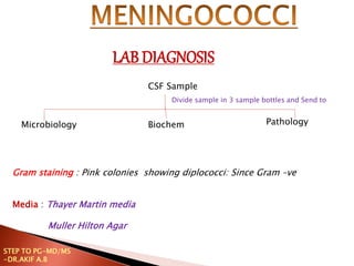 Gram staining : Pink colonies showing diplococci: Since Gram –ve
Media : Thayer Martin media
Muller Hilton Agar
LAB DIAGNOSIS
CSF Sample
Microbiology Biochem Pathology
Divide sample in 3 sample bottles and Send to
STEP TO PG-MD/MS
-DR.AKIF A.B
 