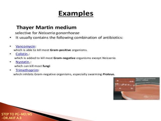 STEP TO PG-MD/MS
-DR.AKIF A.B
 