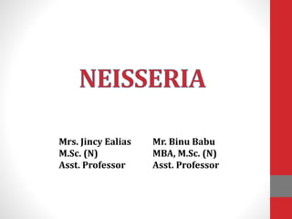 Mrs. Jincy Ealias
M.Sc. (N)
Asst. Professor
Mr. Binu Babu
MBA, M.Sc. (N)
Asst. Professor
 