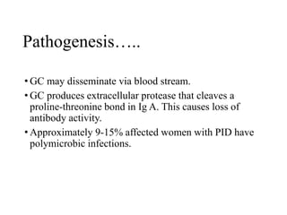 NEISSERIA.lec.ppt