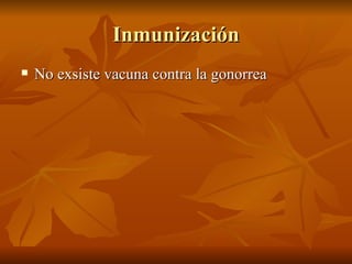 Inmunización No exsiste vacuna contra la gonorrea 