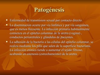 Patogénesis  Enfermedad de transmision sexual por contacto directo. La diseminación ocurre por vía linfática y por vía sanguínea, que es menos frecuente. La infección primaria habitualmente comienza en el epitelio columnar de la uretra (vagina) , conductos periuretrales y glándulas de pacientes. La adhesión de la bacteria a las células del epitelio columnar, se realiza mediante los pilis que salen de la superficie bacteriana. La infección crónica tiende a aumentar el tejido fibroso, acabando en estenosis (estrechameinto) de la uretra. 