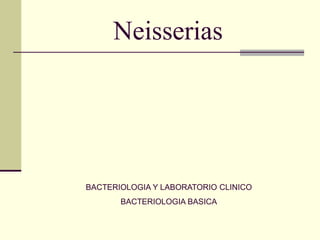 Neisserias
     Neisserias 




BACTERIOLOGIA Y LABORATORIO CLINICO 
       BACTERIOLOGIA BASICA 
 