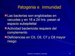 Patogenia e  inmunidad Las bacterias son englobadas en vacuolas y en 18 a 24 hrs. pasan al espacio subepitelial Actividad bactericida requiere del complemento Deficiencias en C5, C6, C7 y C8 mayor riesgo 
