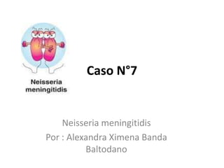 Caso N°7


    Neisseria meningitidis
Por : Alexandra Ximena Banda
          Baltodano
 