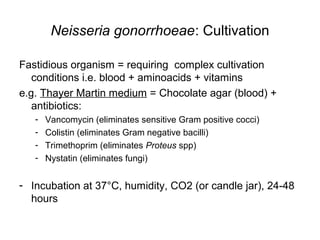 Neisseria gonorrhoeae: Cultivation
Fastidious organism = requiring complex cultivation
conditions i.e. blood + aminoacids + vitamins
e.g. Thayer Martin medium = Chocolate agar (blood) +
antibiotics:
- Vancomycin (eliminates sensitive Gram positive cocci)
- Colistin (eliminates Gram negative bacilli)
- Trimethoprim (eliminates Proteus spp)
- Nystatin (eliminates fungi)
- Incubation at 37°C, humidity, CO2 (or candle jar), 24-48
hours
 