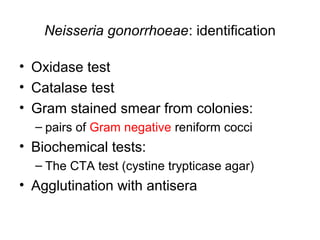 Neisseria gonorrhoeae: identification
• Oxidase test
• Catalase test
• Gram stained smear from colonies:
– pairs of Gram negative reniform cocci
• Biochemical tests:
– The CTA test (cystine trypticase agar)
• Agglutination with antisera
 