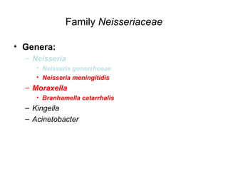 Family Neisseriaceae
• Genera:
– Neisseria
• Neisseria gonorrhoeae
• Neisseria meningitidis
– Moraxella
• Branhamella catarrhalis
– Kingella
– Acinetobacter
 