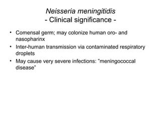 Neisseria meningitidis
- Clinical significance -
• Comensal germ; may colonize human oro- and
nasopharinx
• Inter-human transmission via contaminated respiratory
droplets
• May cause very severe infections: ”meningococcal
disease”
 