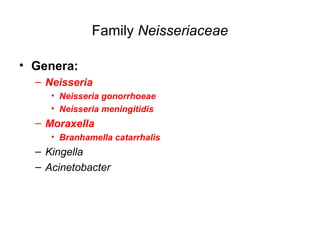 Family Neisseriaceae
• Genera:
– Neisseria
• Neisseria gonorrhoeae
• Neisseria meningitidis
– Moraxella
• Branhamella catarrhalis
– Kingella
– Acinetobacter
 
