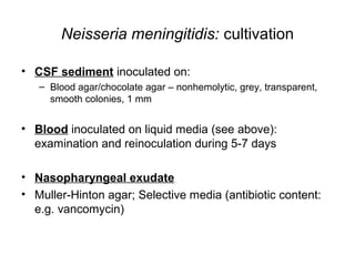 Neisseria meningitidis: cultivation
• CSF sediment inoculated on:
– Blood agar/chocolate agar – nonhemolytic, grey, transparent,
smooth colonies, 1 mm
• Blood inoculated on liquid media (see above):
examination and reinoculation during 5-7 days
• Nasopharyngeal exudate
• Muller-Hinton agar; Selective media (antibiotic content:
e.g. vancomycin)
 