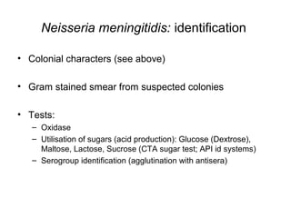 Neisseria meningitidis: identification
• Colonial characters (see above)
• Gram stained smear from suspected colonies
• Tests:
– Oxidase
– Utilisation of sugars (acid production): Glucose (Dextrose),
Maltose, Lactose, Sucrose (CTA sugar test; API id systems)
– Serogroup identification (agglutination with antisera)
 