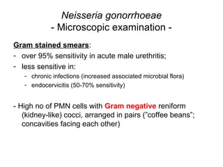 Neisseria gonorrhoeae
- Microscopic examination -
Gram stained smears:
- over 95% sensitivity in acute male urethritis;
- less sensitive in:
- chronic infections (increased associated microbial flora)
- endocervicitis (50-70% sensitivity)
- High no of PMN cells with Gram negative reniform
(kidney-like) cocci, arranged in pairs (”coffee beans”;
concavities facing each other)
 