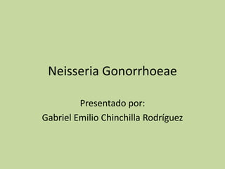 Neisseria Gonorrhoeae

         Presentado por:
Gabriel Emilio Chinchilla Rodríguez
 