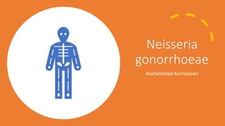 Neisseria
gonorrhoeae
muhammad kurniawan
 
