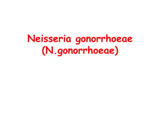 Neisseria gonorrhoeae
(N.gonorrhoeae)
 