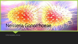 Neisseria Gonorrhoeae
Enfermedades clinicas
 