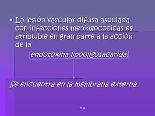 M.RLa lesión vascular difusa asociada con infecciones meningococicas es atribuible en gran parte a la acción de la  endotoxina lipooligosacarida.Se encuentra en la membrana externa