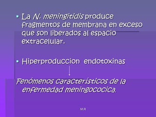 M.RLa N. meningitidis produce fragmentos de membrana en exceso que son liberados al espacio extracelular.Hiperproduccion  endotoxinasFenómenos característicos de la enfermedad meningococica.