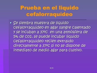 M.RPrueba en el liquido cefalorraquídeoSe siembra muestra de liquido cefalorraquídeo en agar sangre calentado y se incuban a 37ºc  en una atmósfera de 5% de co2, se puede incubar liquido cefalorraquídeo recién extraído directamente a 37ºc si no se dispone de inmediato de medio agar para cultivo.