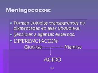 M.RMeningococos:Forman colonias transparentes no pigmentadas en agar chocolate.Sensibles a agentes externos.DIFERENCIACION:           Glucosa----------------- Maltosa ACIDO