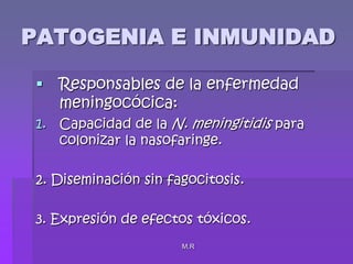 M.RPATOGENIA E INMUNIDADResponsables de la enfermedad meningocócica:Capacidad de la N. meningitidis para colonizar la nasofaringe.2. Diseminación sin fagocitosis.3. Expresión de efectos tóxicos.