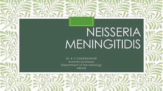 NEISSERIA
MENINGITIDIS
Dr. K V CHAKRADHAR
Assistant professor
Department of Microbiology
NRIIMS

 