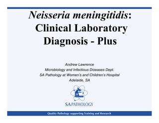 Andrew Lawrence
Microbiology and Infectious Diseases Dept.
SA Pathology at Women’s and Children’s Hospital
Adelaide, SA
Neisseria meningitidis:
Clinical Laboratory
Diagnosis - Plus
 