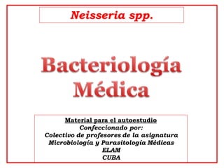 Material para el autoestudio
Confeccionado por:
Colectivo de profesores de la asignatura
Microbiología y Parasitología Médicas
ELAM
CUBA
Neisseria spp.
 