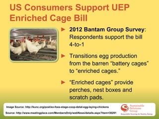 US Consumers Support UEP
  Enriched Cage Bill
                                         ► 2012 Bantam Group Survey:
                                           Respondents support the bill
                                           4-to-1

                                         ► Transitions egg production
                                           from the barren “battery cages”
                                           to “enriched cages.”

                                         ► “Enriched cages” provide
                                           perches, nest boxes and
                                           scratch pads.
Image Source: http://kunc.org/post/ex-foes-stage-coop-detat-egg-laying-chickens

Source: http://www.meatingplace.com/MembersOnly/webNews/details.aspx?item=30291
 