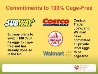 Commitments to 100% Cage-Free

                      Costco,
                      Trader
                      Joe’s, and
                      Walmart,
Subway plans to
                      have
switch 100 % of
                      committed
its eggs to cage-
                      all private
free and has
                      label eggs
already done so
                      to be
in the UK.
                      cage-free
 