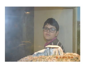 Castro Neixón CPI TOURO