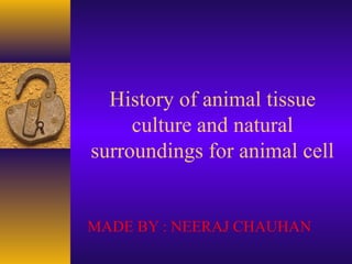 History of animal tissue
     culture and natural
surroundings for animal cell


MADE BY : NEERAJ CHAUHAN
 
