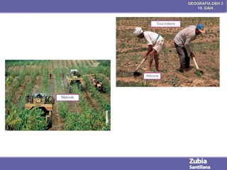 GEOGRAFIA DBH 3
10. GAIA

 