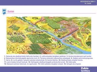 GEOGRAFIA DBH 3
10. GAIA

Sailak

1. Sabanak eta abeltzaintzako latifundio handiak. 2. Latifundioetako langileen jabetzak. 3. Azukre-kanaberaren sail handia.
4. Nekazaritza intentsiboagatik agorturiko lurra. 5. Tamaina ertaineko nekazaritza-ustiategiak. 6. Saileko administraziogunea.
7. Herria. 8. Lurrik gabeko nekazari pobreen etxebizitzak. 9. Azukre-fabrika. 10. Abeltzaintzako etxalde handia.
11. Larre hobeko lursail hesituak. 12. Gehiegizko abeltzaintzagatik probreturiko lurrak. 13. Kafe-saila.
14. Nekazari pobreen laboreak, lur agortuetan. 15. Kafe-sailetako langileen etxeak. 16. Istingak eta zingirak.

 
