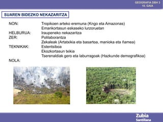 GEOGRAFIA DBH 3
10. GAIA

SUAREN BIDEZKO NEKAZARITZA
NON:
HELBURUA:
ZER:
TEKNIKAK:

NOLA:

Tropikoen arteko eremuna (Kngo eta Amazonas)
Emankortasun eskaseko lurzoruetan
Iraupeneko nekazaritza
Polilaborantza
Zekaleak (Artatxikia eta basartoa, manioka eta ñamea)
Estentsiboa
Ekozkortasun txikia
Tserenaldiak gero eta laburragoak (Hazkunde demografikoa)

 