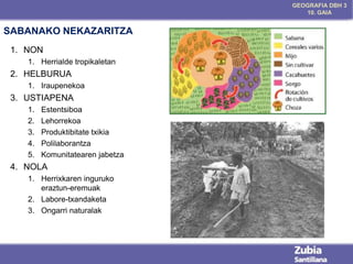 GEOGRAFIA DBH 3
10. GAIA

SABANAKO NEKAZARITZA
1. NON
1. Herrialde tropikaletan

2. HELBURUA
1. Iraupenekoa

3. USTIAPENA
1.
2.
3.
4.
5.

Estentsiboa
Lehorrekoa
Produktibitate txikia
Polilaborantza
Komunitatearen jabetza

4. NOLA
1. Herrixkaren inguruko
eraztun-eremuak
2. Labore-txandaketa
3. Ongarri naturalak

 
